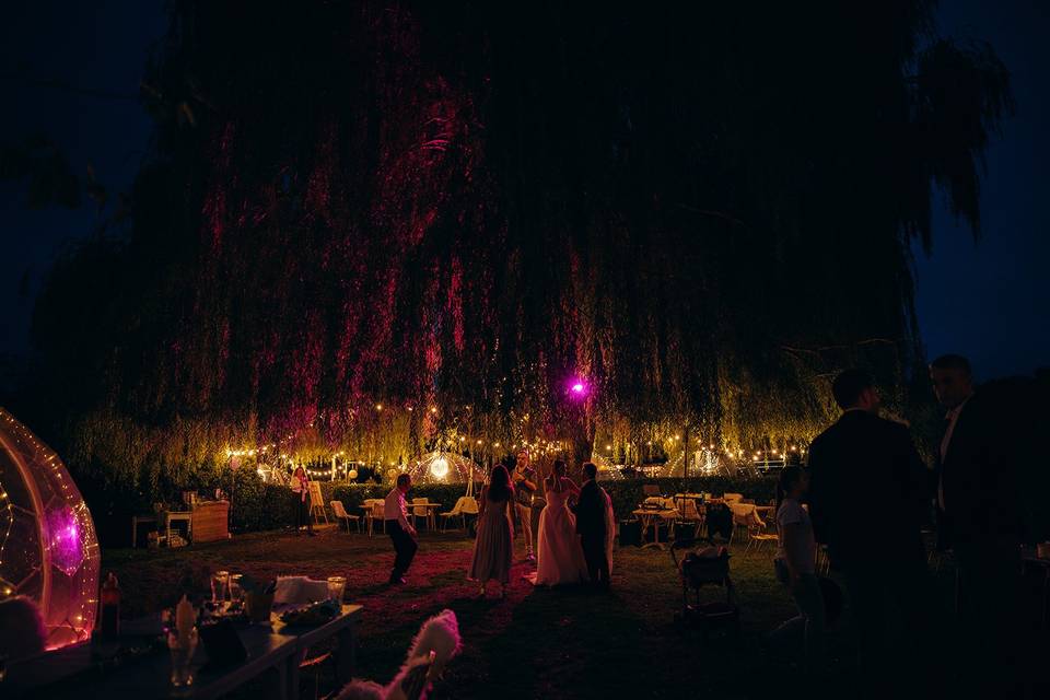 Beneath the Willow at Night