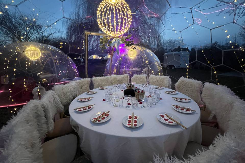 Diamond dome
