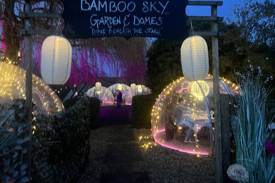 Domes at night