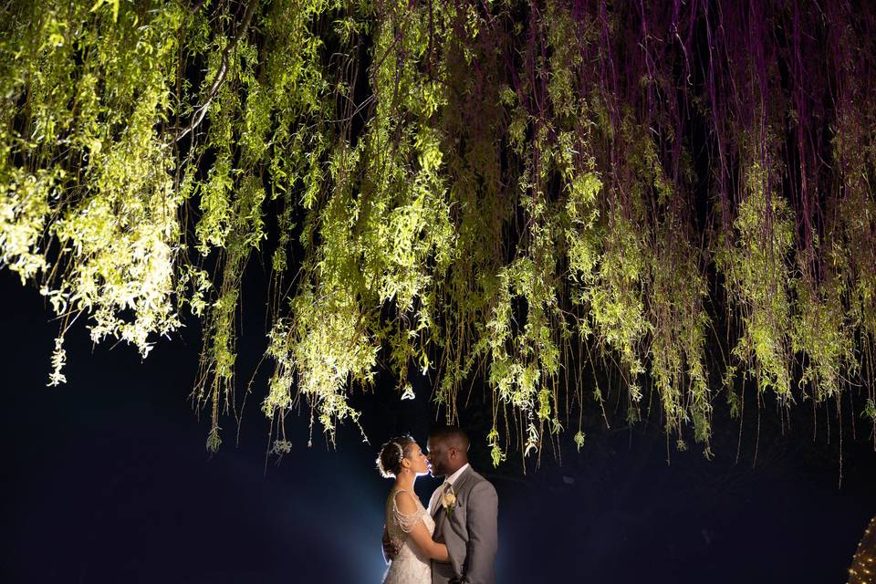 S&N Tree