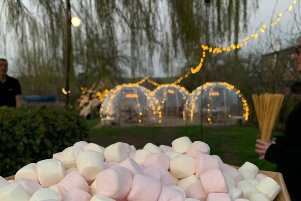 Marshmallows and dining domes