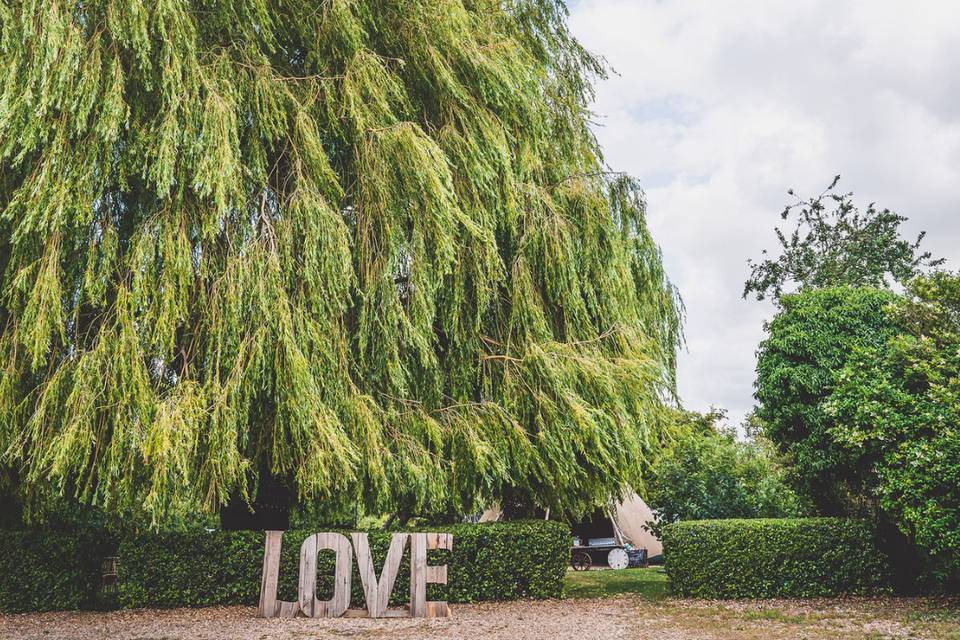 LOVE under the willow tree