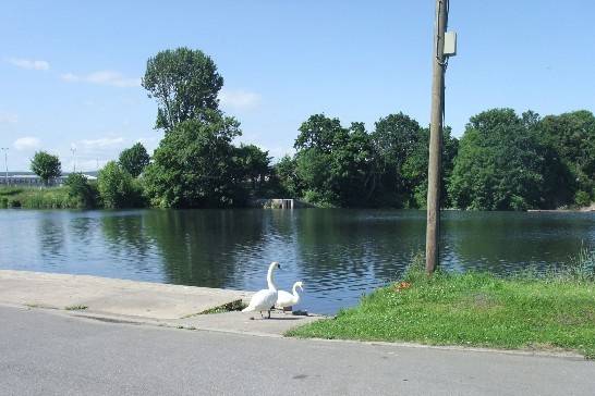 Llandaff Rowing Club 11