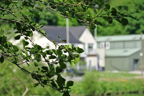 Llandaff Rowing Club 9