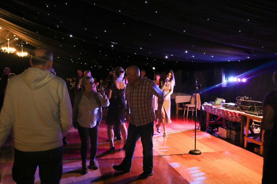 Party Performance