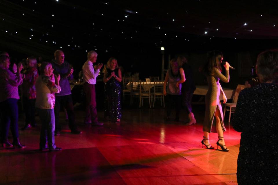 Party Performance