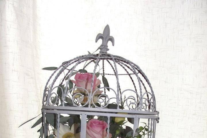 Bird cage Arrangement