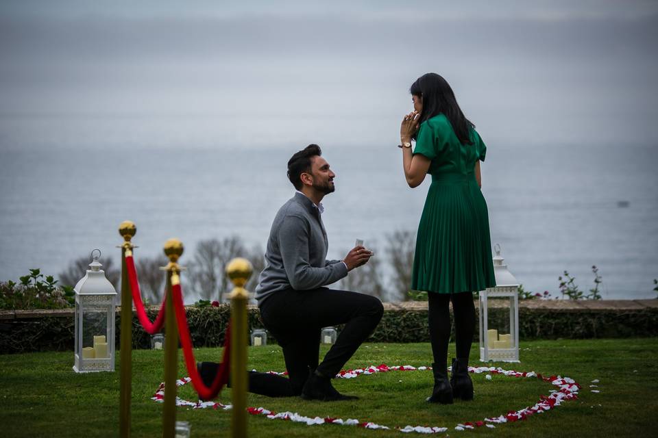 Proposal by Amanda-Louise