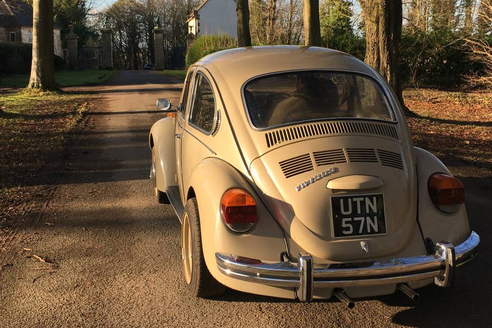 Love Bug Wedding Cars