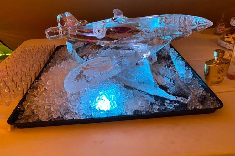 Surprise ice sculpture