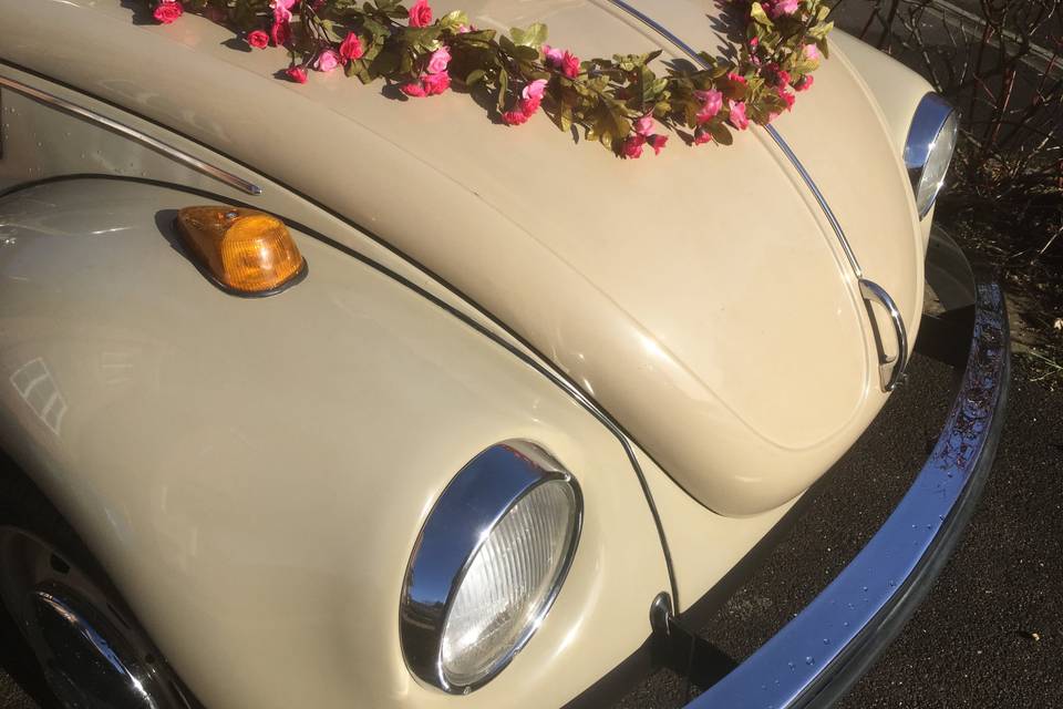 Love Bug Wedding Cars