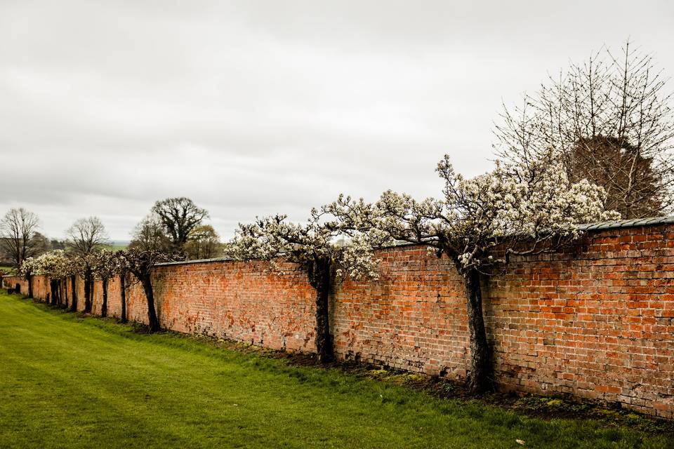 The Orchard