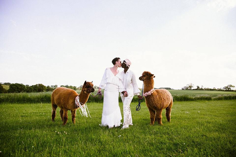 Two Grooms kissing