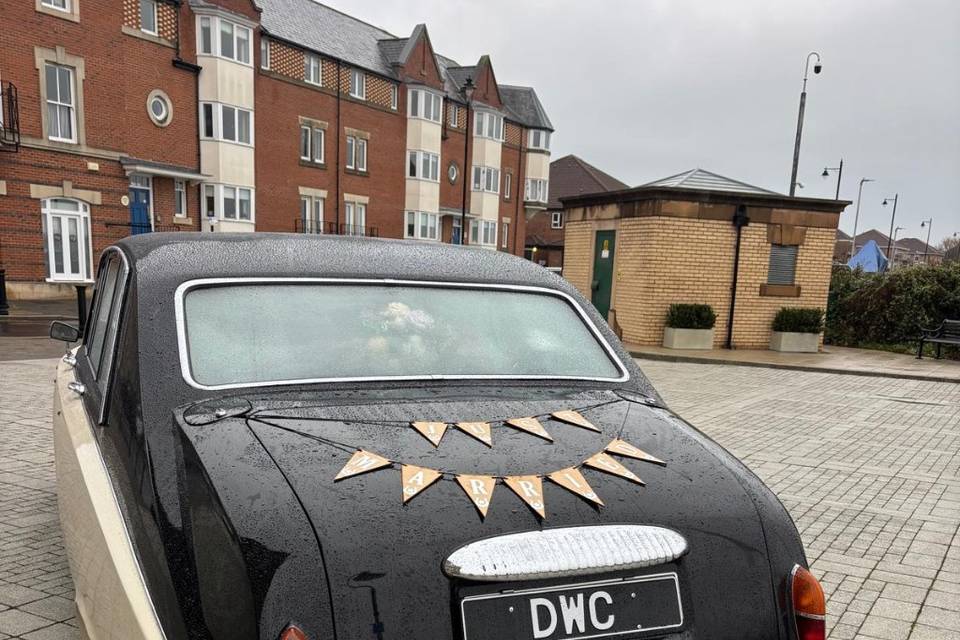 Need junk in the trunk..easy