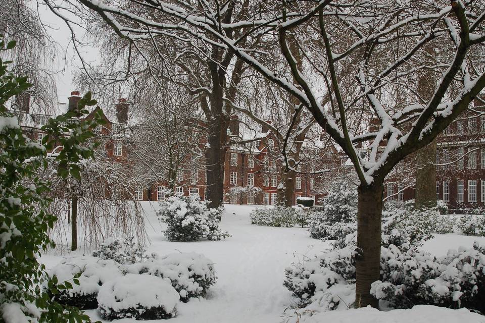 Regent's in the snow