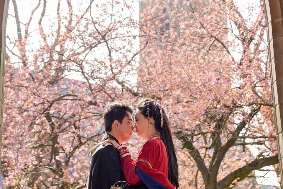 Cherry Blossom background
