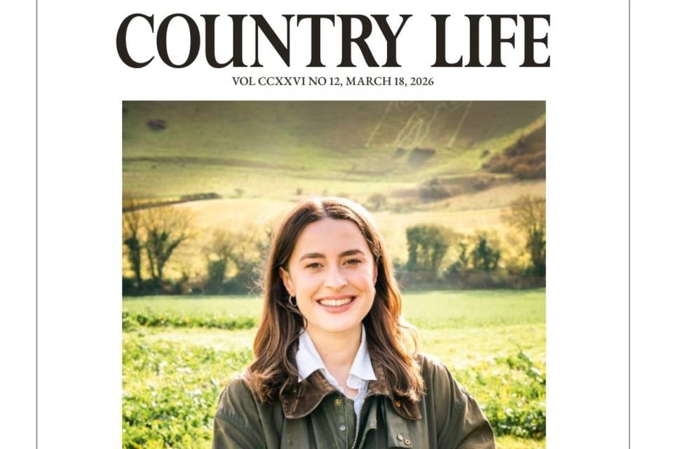 Magazine Hair and Makeup