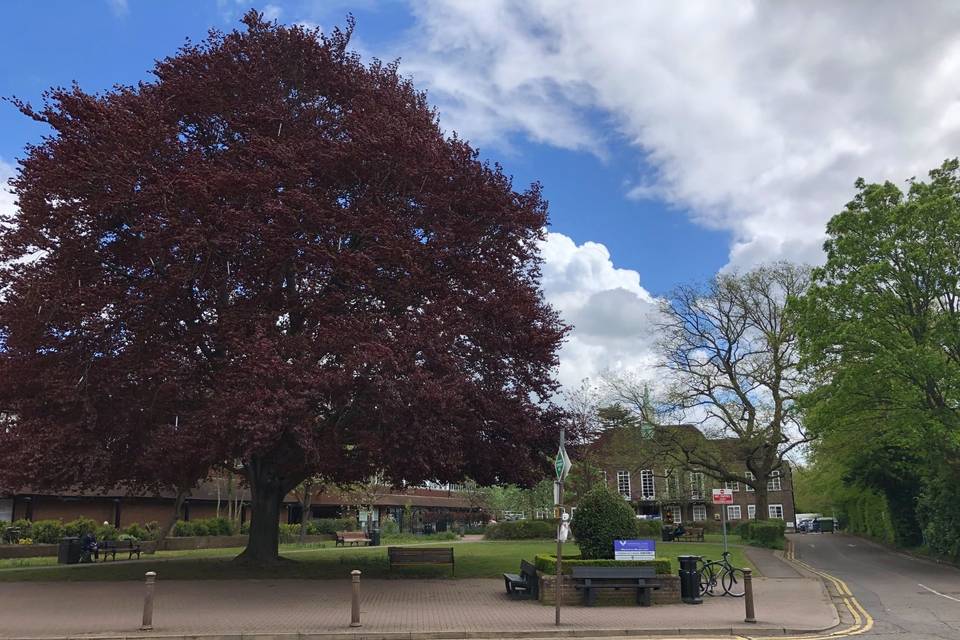 Beaconsfield Town Council 4