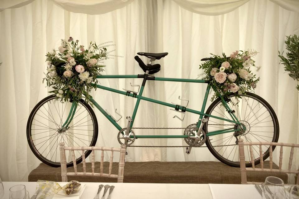 Flowers on a tandem bike