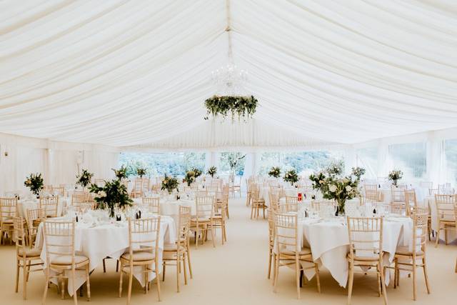Marquee Flowers