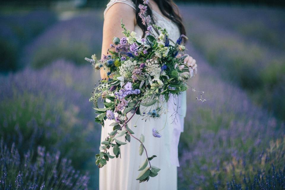 The Flower Farm