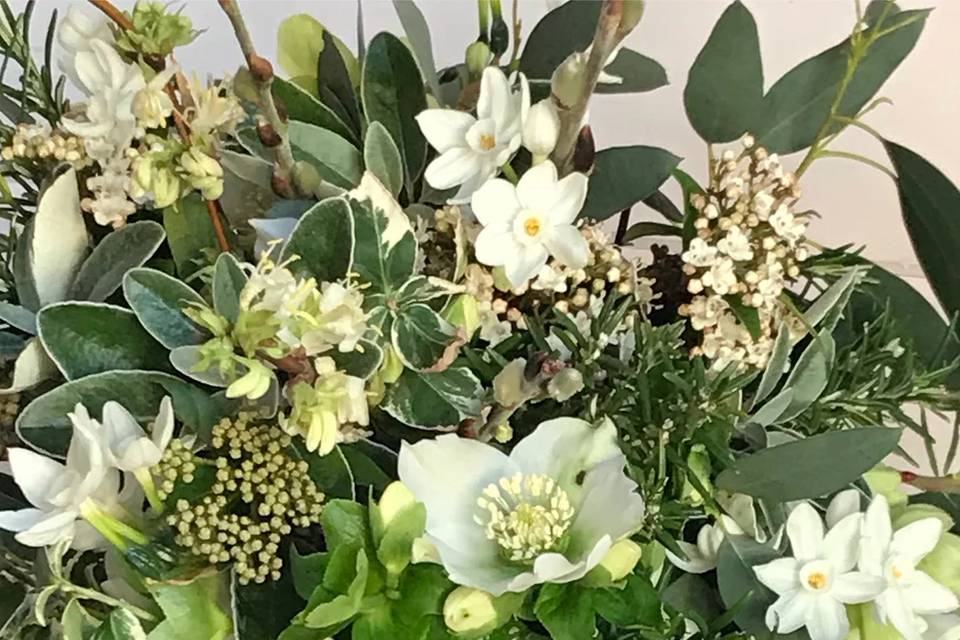 British Flowers in Winter