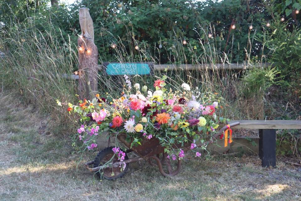 Wild flowers