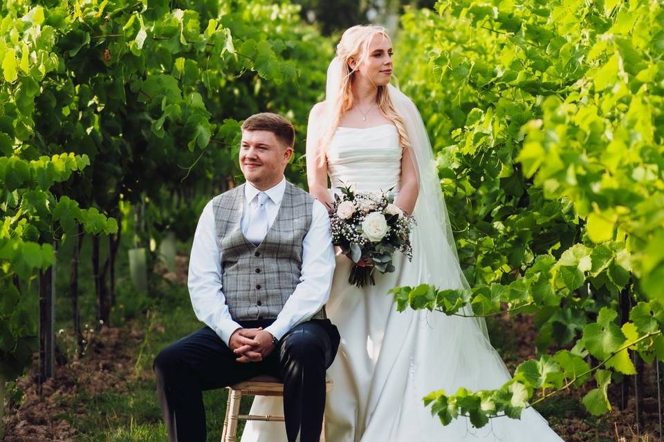 Llanerch Vineyard
