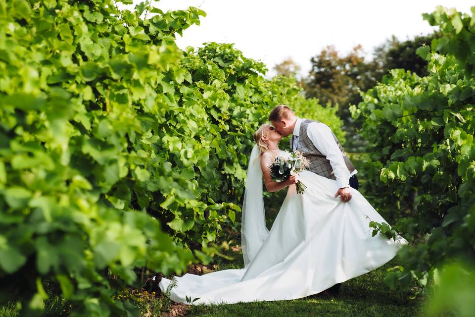 Llanerch Vineyard