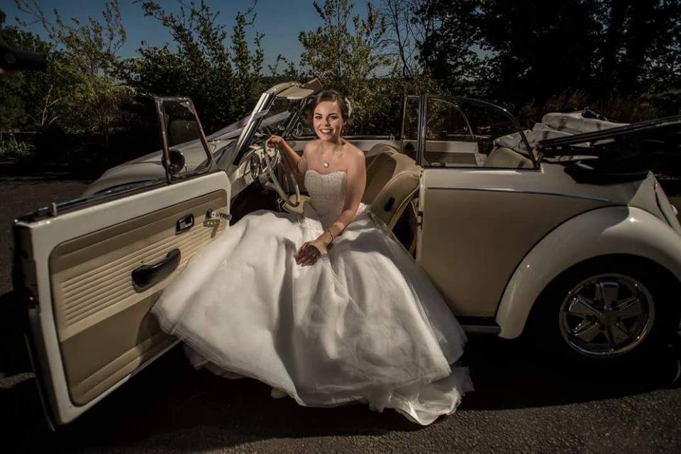 Bride and beetle