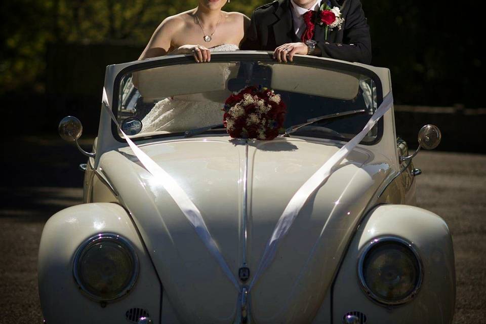 Bride and beetle