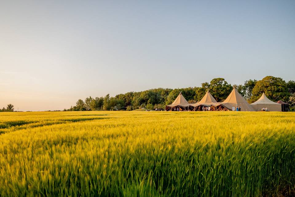 Front Field Tipi