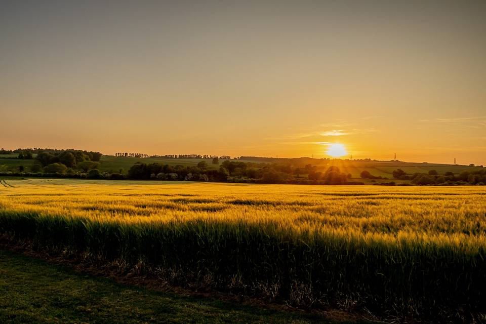 Front Field Sun Set