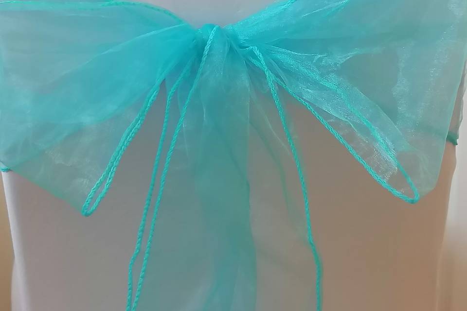 Organza sash & chaircover