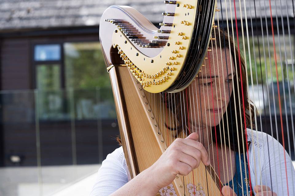 Harpist