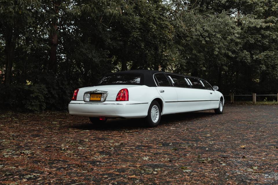 Limo rear