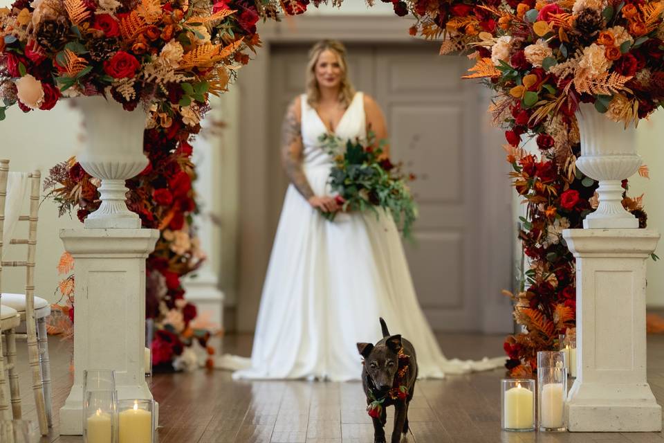 Weddings with dogs