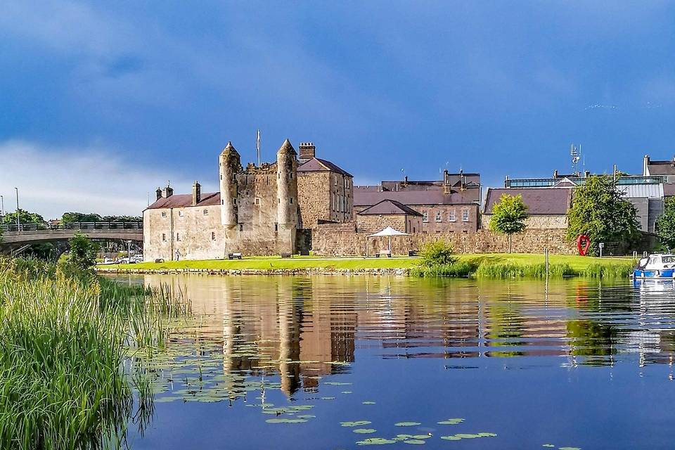 Lily pads by the castle