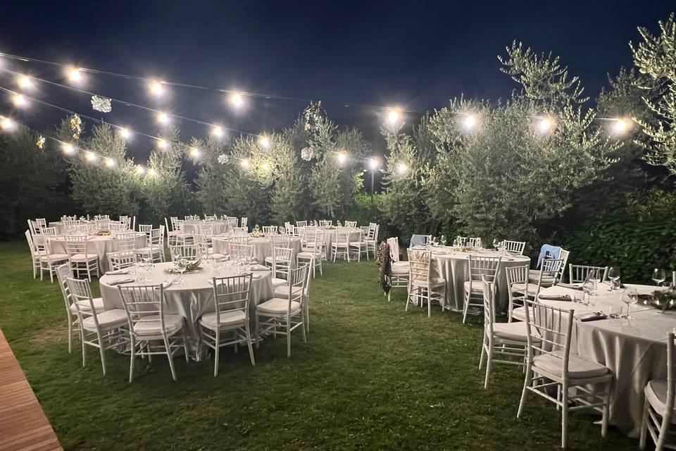 Large al fresco reception