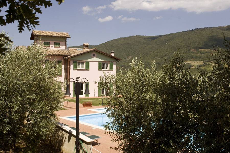 Surrounded by olive trees