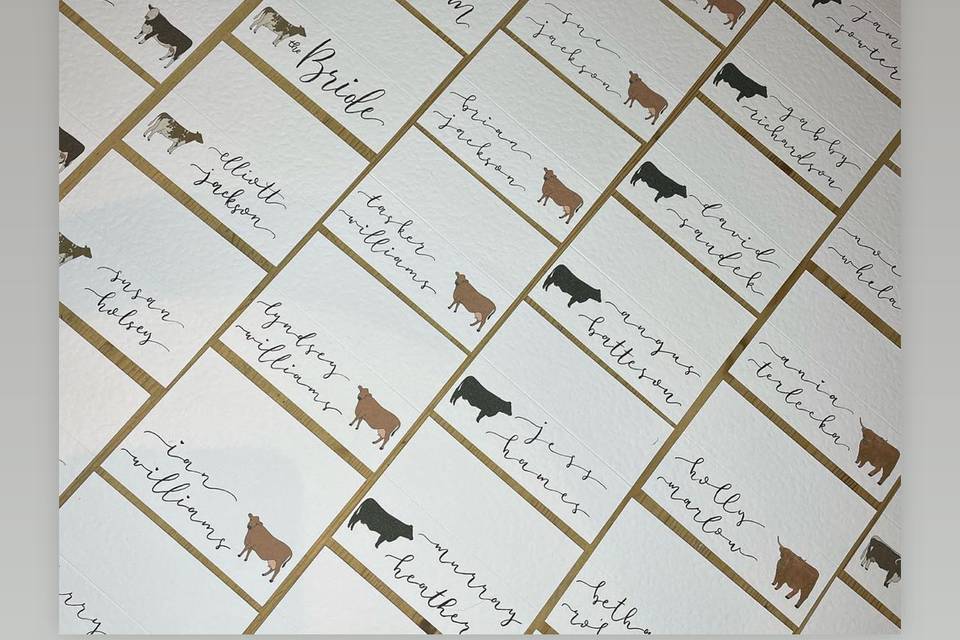 Illustrated place cards