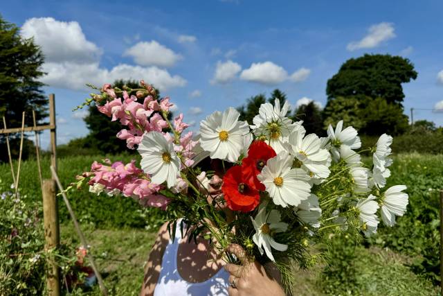 Grown on the farm, seasonally