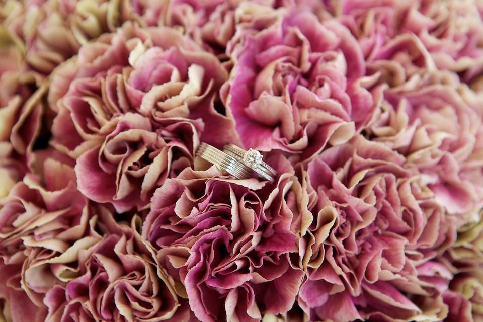 Wedding rings in carnations