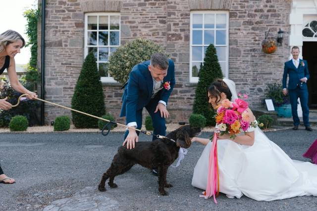 Pawsitive Pets wedding chaperone