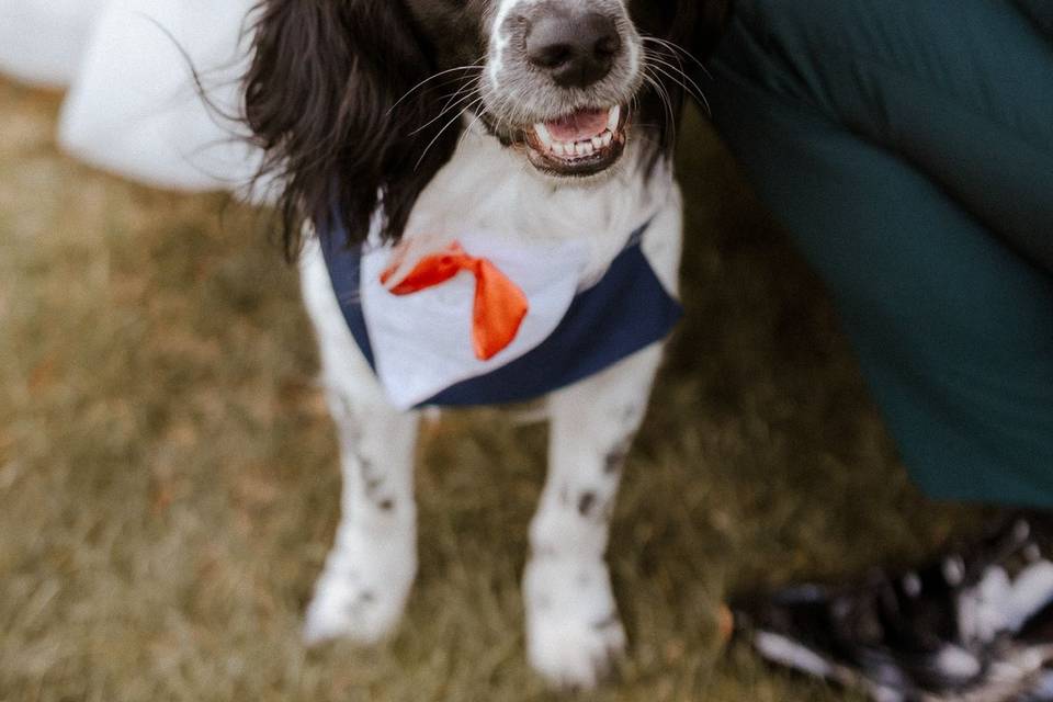 Obi ✨