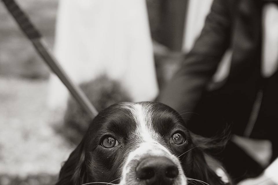 Obi ✨