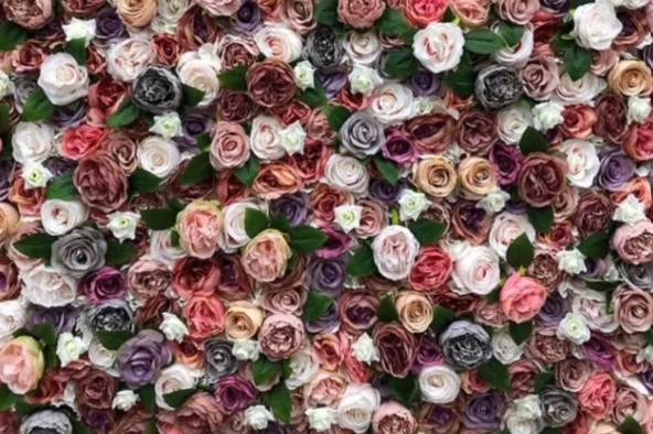 Flower wall hire