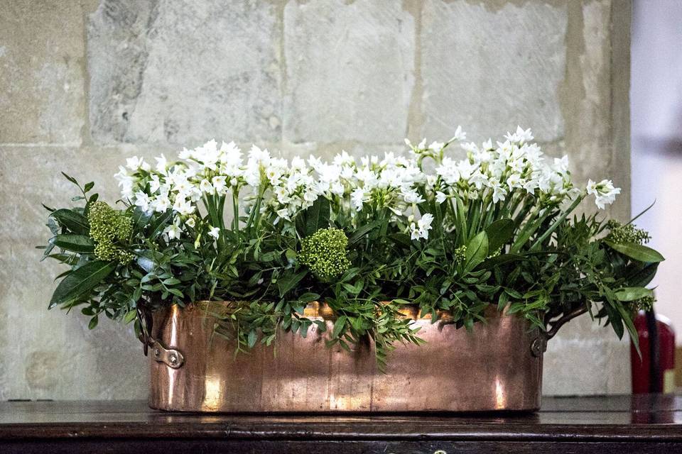 Jane Lawrence Flowers
