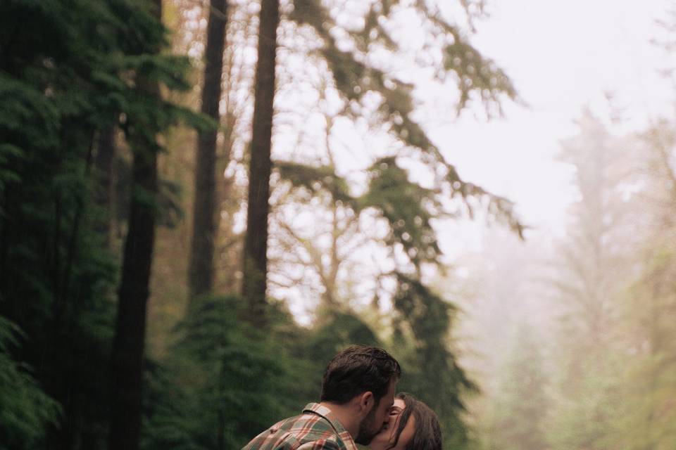 N&O