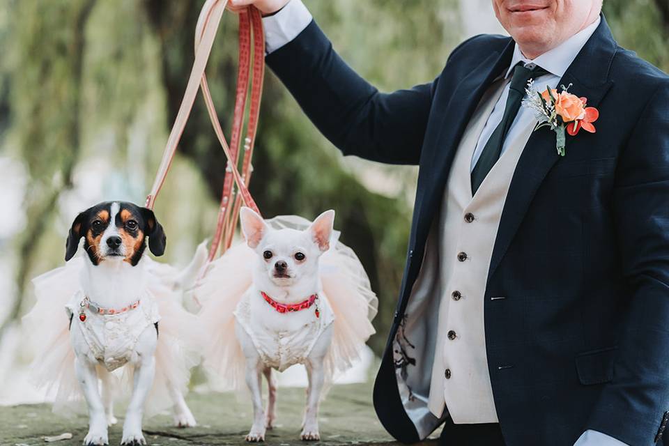Dog Friendly!